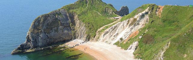 上門龍婿葉辰蕭初然_第2596章 不如打假