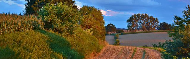 上門龍婿葉辰蕭初然_第2947章 硬到死！