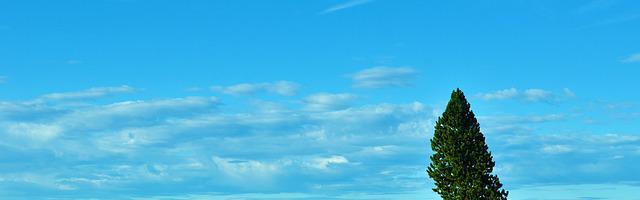 上門龍婿葉辰蕭初然_第793章 宛若新生