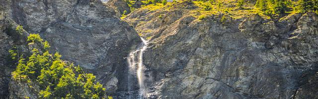 上門龍婿葉辰蕭初然_第719章 你丟不丟人？