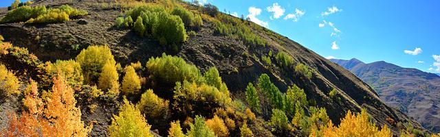 上門龍婿葉辰蕭初然_第2957章 絕殺