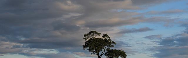 上門龍婿葉辰蕭初然_第705章 恩重如山