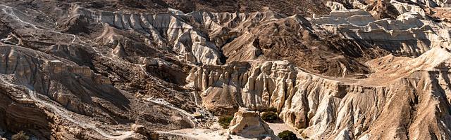 上門龍婿葉辰蕭初然_第203章 天龍降世！