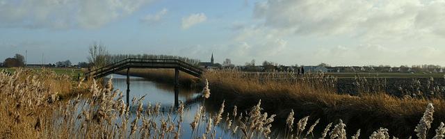 上門龍婿葉辰蕭初然_第505章 你真是神了！