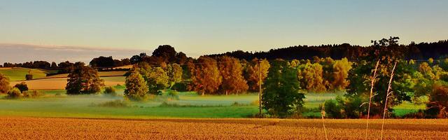 上門龍婿葉辰蕭初然_第487章 老仇人