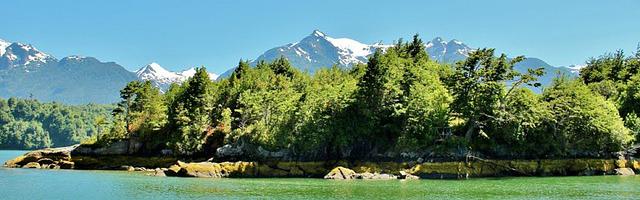 上門龍婿葉辰蕭初然_第2751章 走了狗屎運