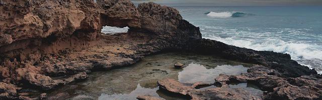 上門龍婿葉辰蕭初然_第3308章 擋箭牌