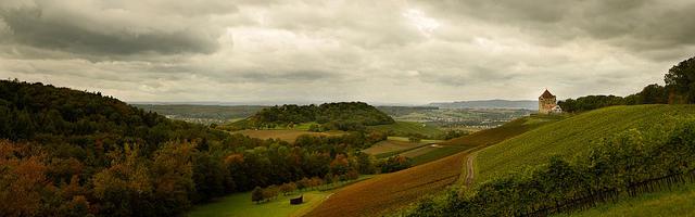 上門龍婿葉辰蕭初然_第2148章 更合適的人選