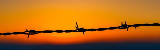 上門龍婿葉辰蕭初然_第2181章 說不定有大收獲