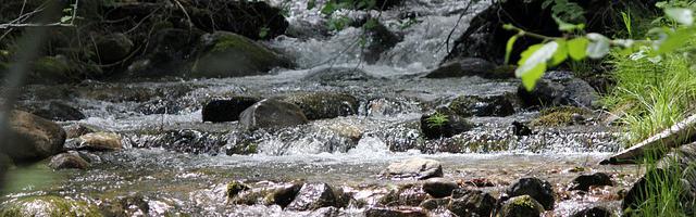 上門龍婿葉辰蕭初然_第964章 下三濫