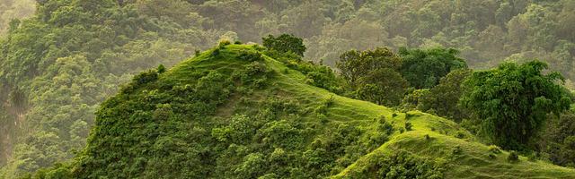 上門龍婿葉辰蕭初然_第2121章 你這個不孝子！