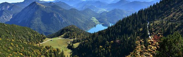 上門龍婿葉辰蕭初然_第472章 你被釋放了！