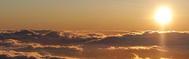 上門龍婿葉辰蕭初然_第3174章 如愿以償