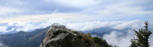 上門龍婿葉辰蕭初然_第2852章 寵她