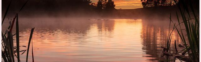 上門龍婿葉辰蕭初然_第3304章 貴客