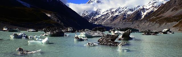 上門龍婿葉辰蕭初然_第3265章 誘餌