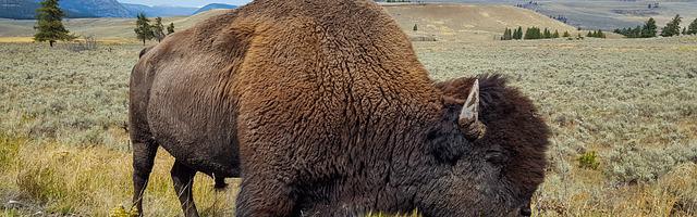 上門龍婿葉辰蕭初然_第982章 又一貧如洗了