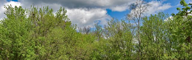 上門龍婿葉辰蕭初然_第2754章 法器入手！