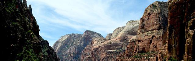 上門龍婿葉辰蕭初然_第84章 這逼也在