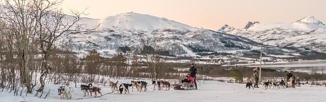 上門龍婿葉辰蕭初然_第41章 一點面子也不給？