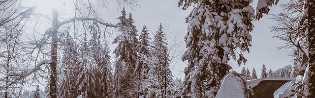 上門龍婿葉辰蕭初然_第378章 是葉少爺給我的勇氣