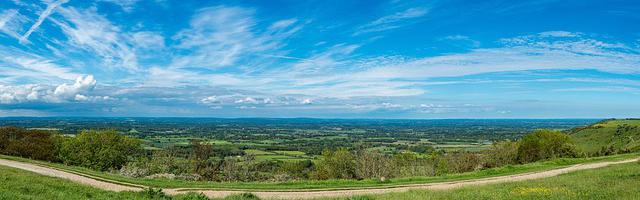 上門龍婿葉辰蕭初然_第409章 全數查封！