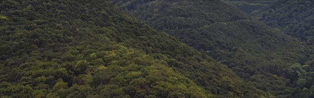 上門龍婿葉辰蕭初然_第2498章 前往地中海