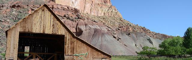 上門龍婿葉辰蕭初然_第2738章 還真是有點東西