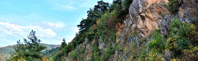 上門龍婿葉辰蕭初然_第382章 買下短視頻平臺！