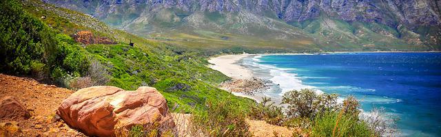 上門龍婿葉辰蕭初然_第2824章 一定有問題！