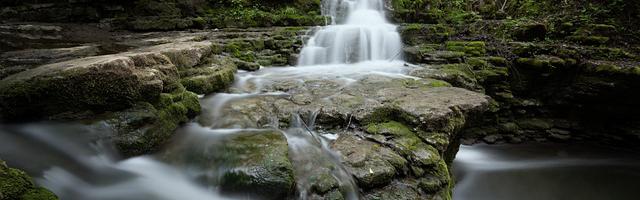 上門龍婿葉辰蕭初然_第2390章 我葉辰行事一貫如此