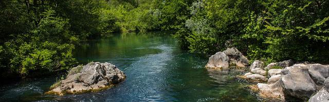 上門龍婿葉辰蕭初然_第3063章 貴客到！