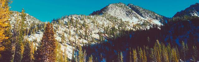 都市神醫葉辰很囂張_第12311章 四神獸（三合一）