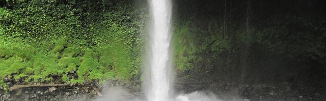 上門龍婿葉辰蕭初然_第823章 隱秘富豪