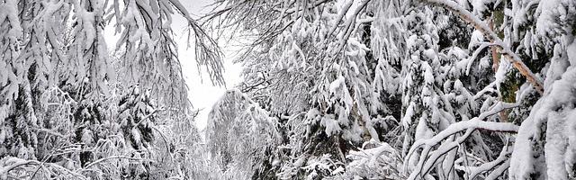 上門龍婿葉辰蕭初然_第324章 為吳家效力