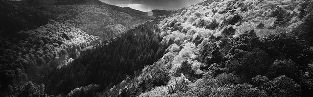 上門龍婿葉辰蕭初然_第3195章 爸的仕途，可就靠你了