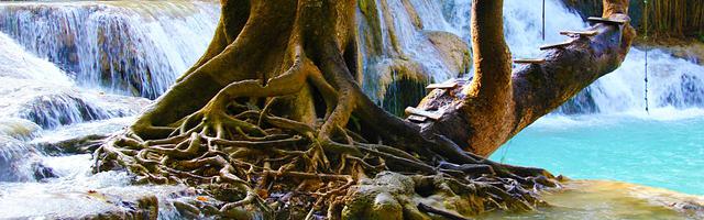 上門龍婿葉辰蕭初然_第3046章 那個人究竟是誰？