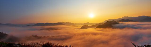 上門龍婿葉辰蕭初然_第751章 螳螂捕蟬