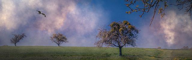 上門龍婿葉辰蕭初然_第3261章 太被動了！