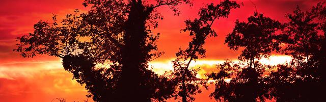 上門龍婿葉辰蕭初然_第3134章 第二故鄉