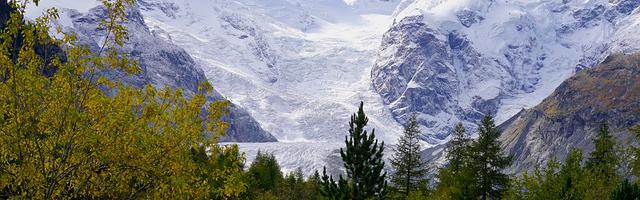 上門龍婿葉辰蕭初然_第2445章 愿望成真