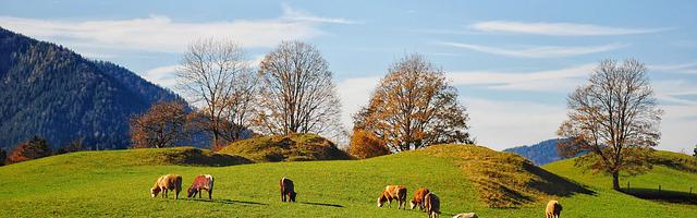 上門龍婿葉辰蕭初然_第2278章 歡迎回家！