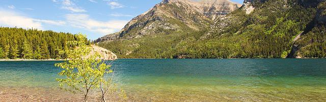 上門龍婿葉辰蕭初然_第3305章 如喪考妣