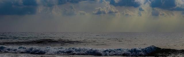 上門龍婿葉辰蕭初然_第407章 喬遷新居