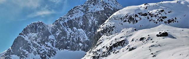 上門龍婿葉辰蕭初然_第3060章 投桃報李