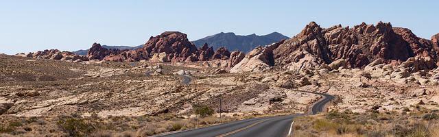 上門龍婿葉辰蕭初然_第689章 求錘得錘