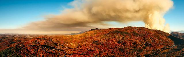 上門龍婿葉辰蕭初然_第3275章 我的便宜不好占
