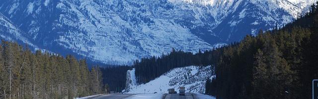 上門龍婿葉辰蕭初然_第2980章 初次見面