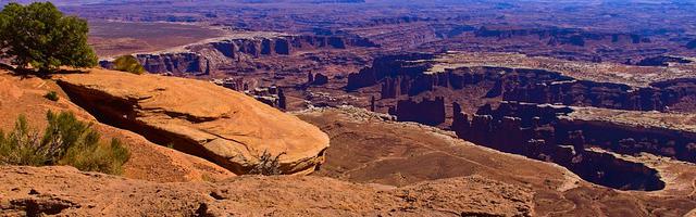 上門龍婿葉辰蕭初然_第514章 我要替天行道！
