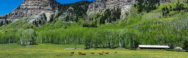 上門龍婿葉辰蕭初然_第128章 治病救人